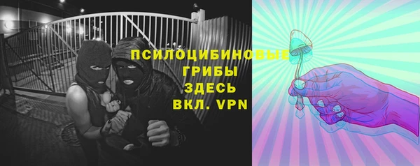 стафф Абинск