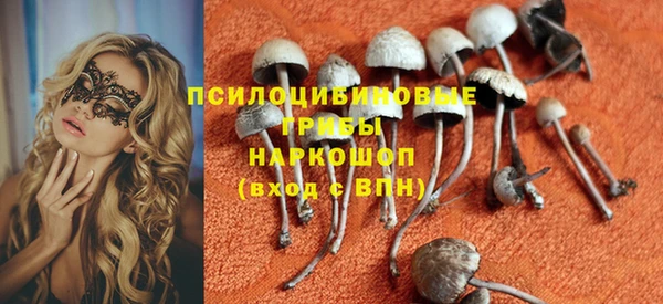 дживик Алзамай