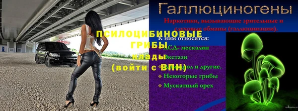 стафф Абинск