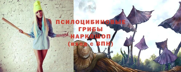 индика Алексеевка