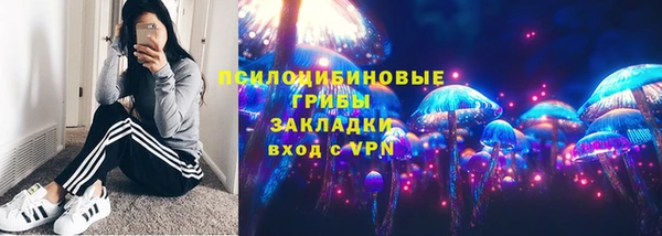 индика Алексеевка
